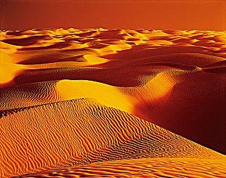 《潜行者:区域传奇 三部曲》10月31日登陆NS 预告发布